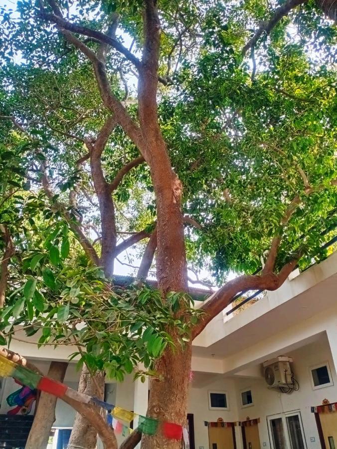 Villa Green Hub Pushkar Exterior foto